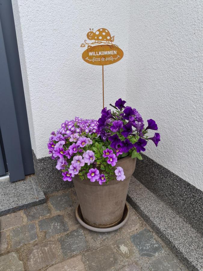Hennemann Apartment Schmallenberg